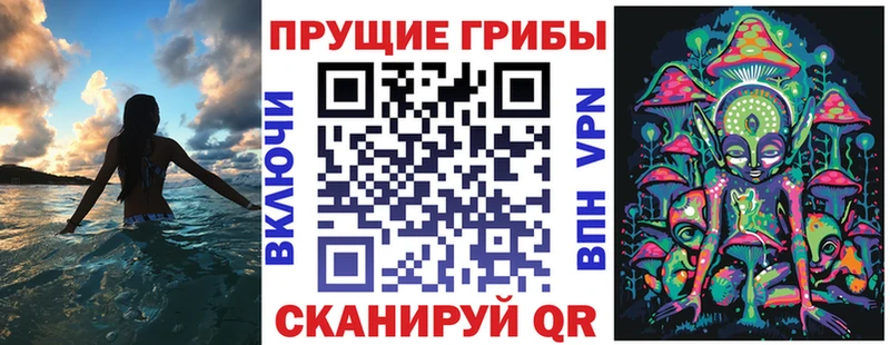 Галлюциногенные грибы Psilocybine cubensis  omg   Псков 