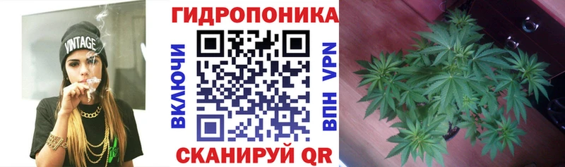 Каннабис конопля  Псков 